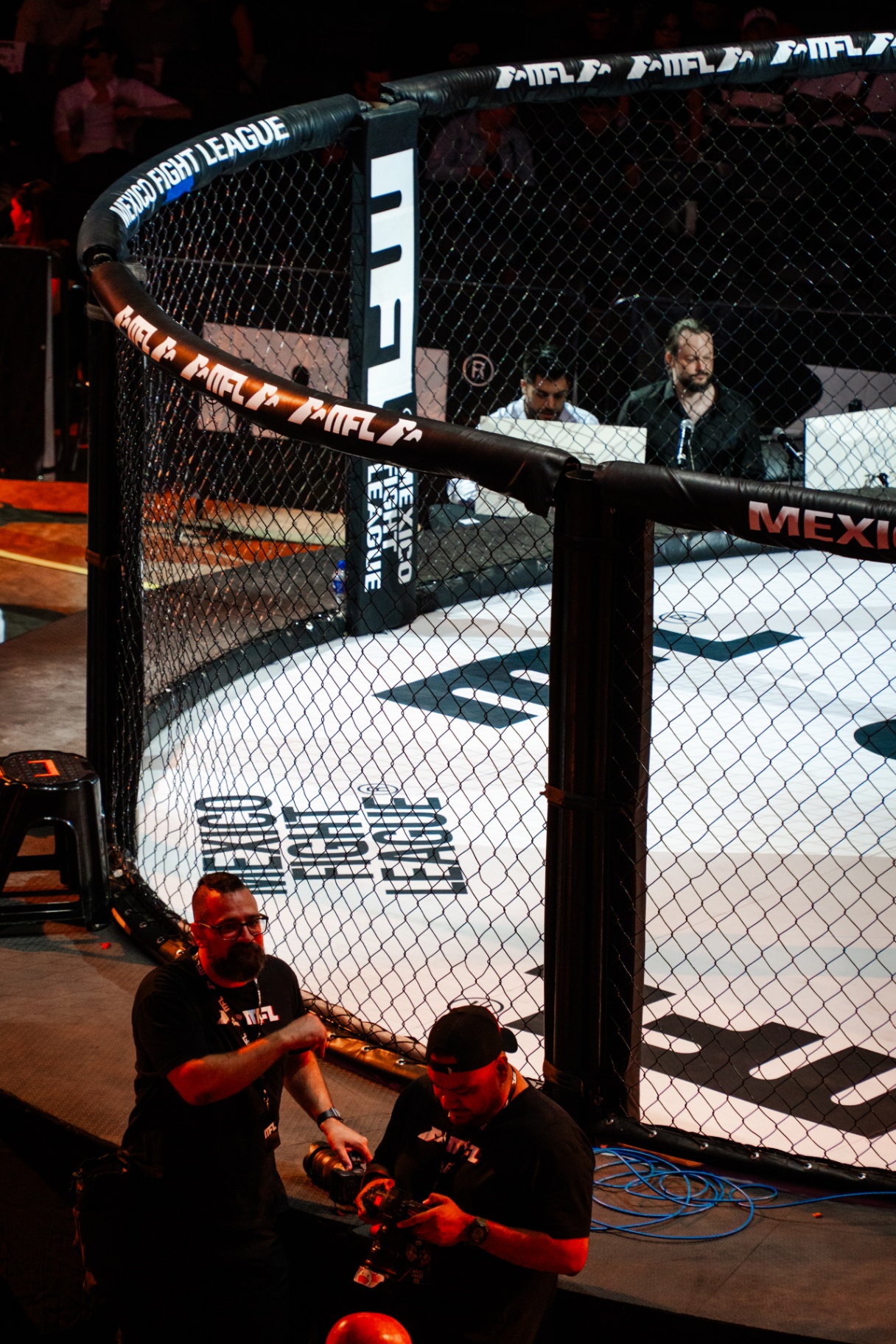 MFL cage detail